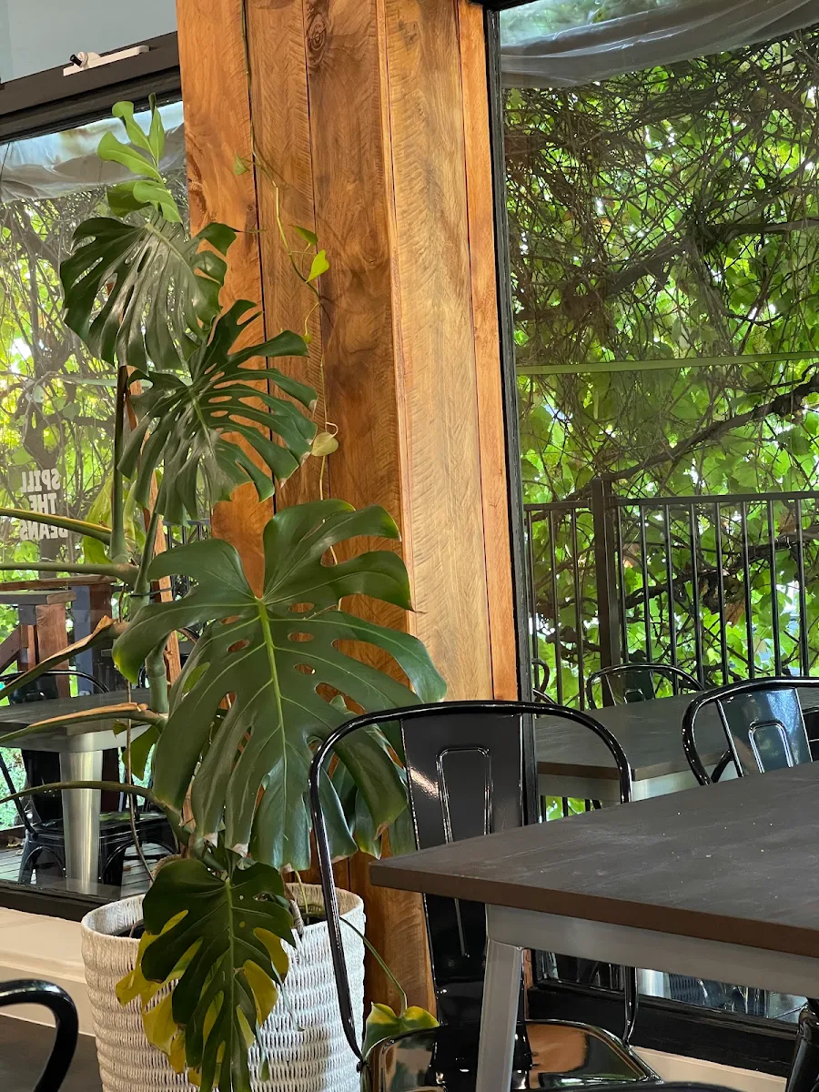 Vibe, SPILL THE BEANS CAFE