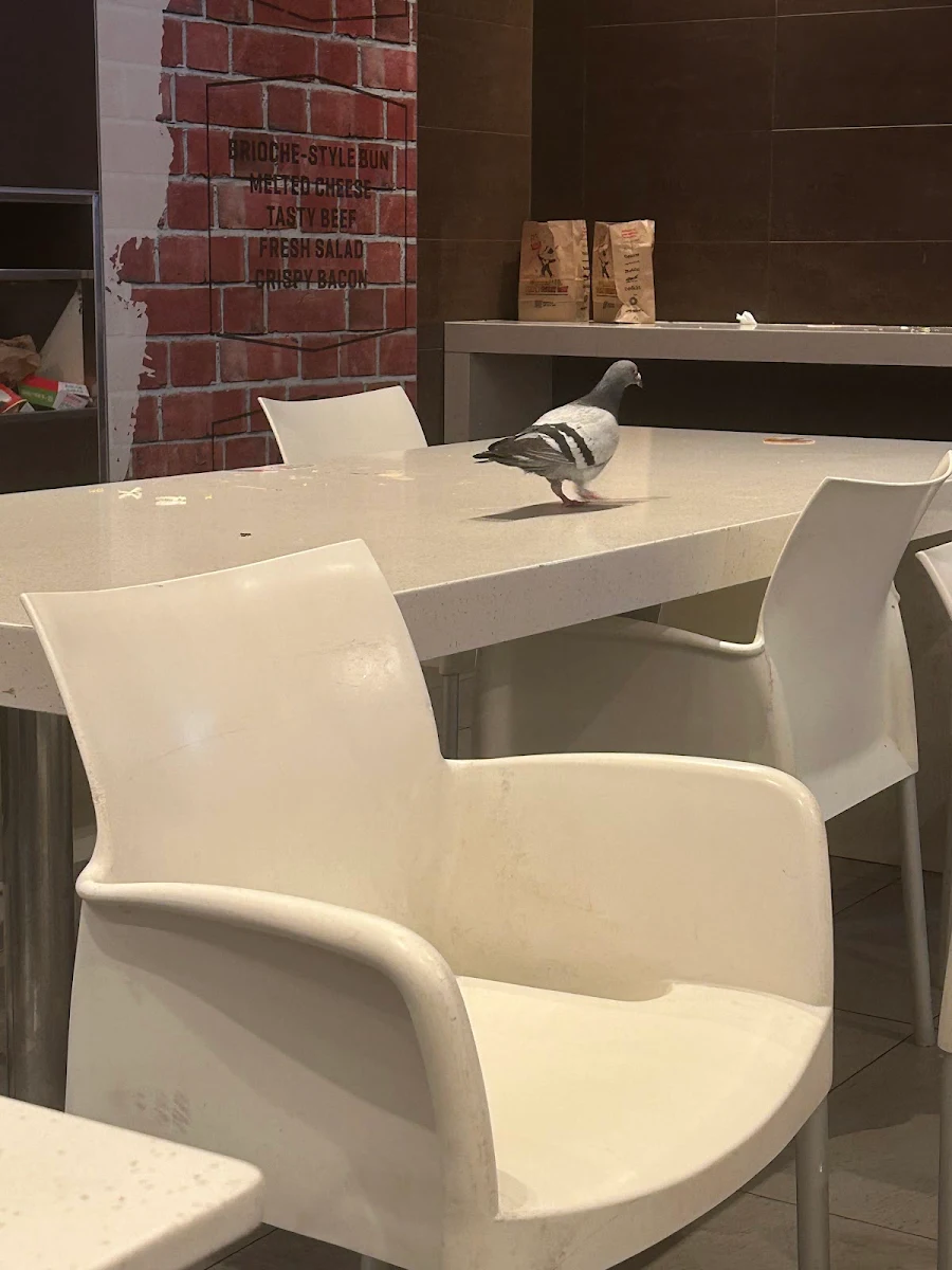 Vibe, McDonald's William Street