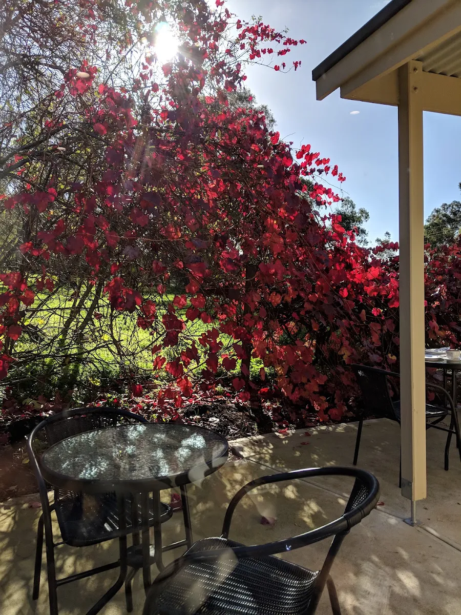 Vibe, The Wistow Bakery & Cafe