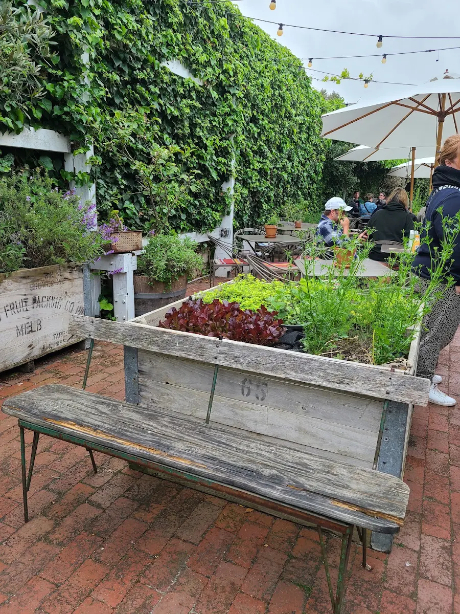 Vibe, The Sisters Kitchen Garden Cafe
