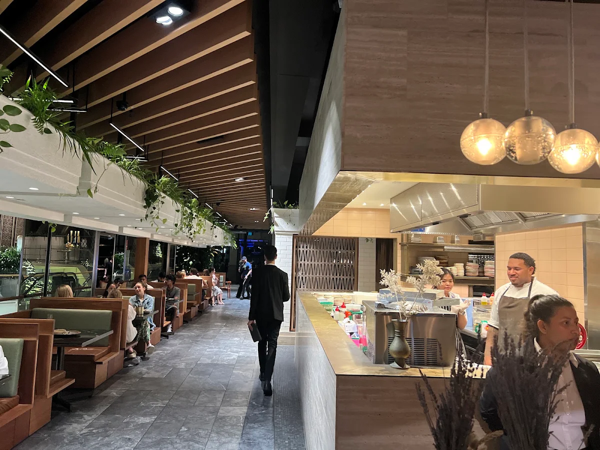 Vibe, Babylon Rooftop & Garden Bar