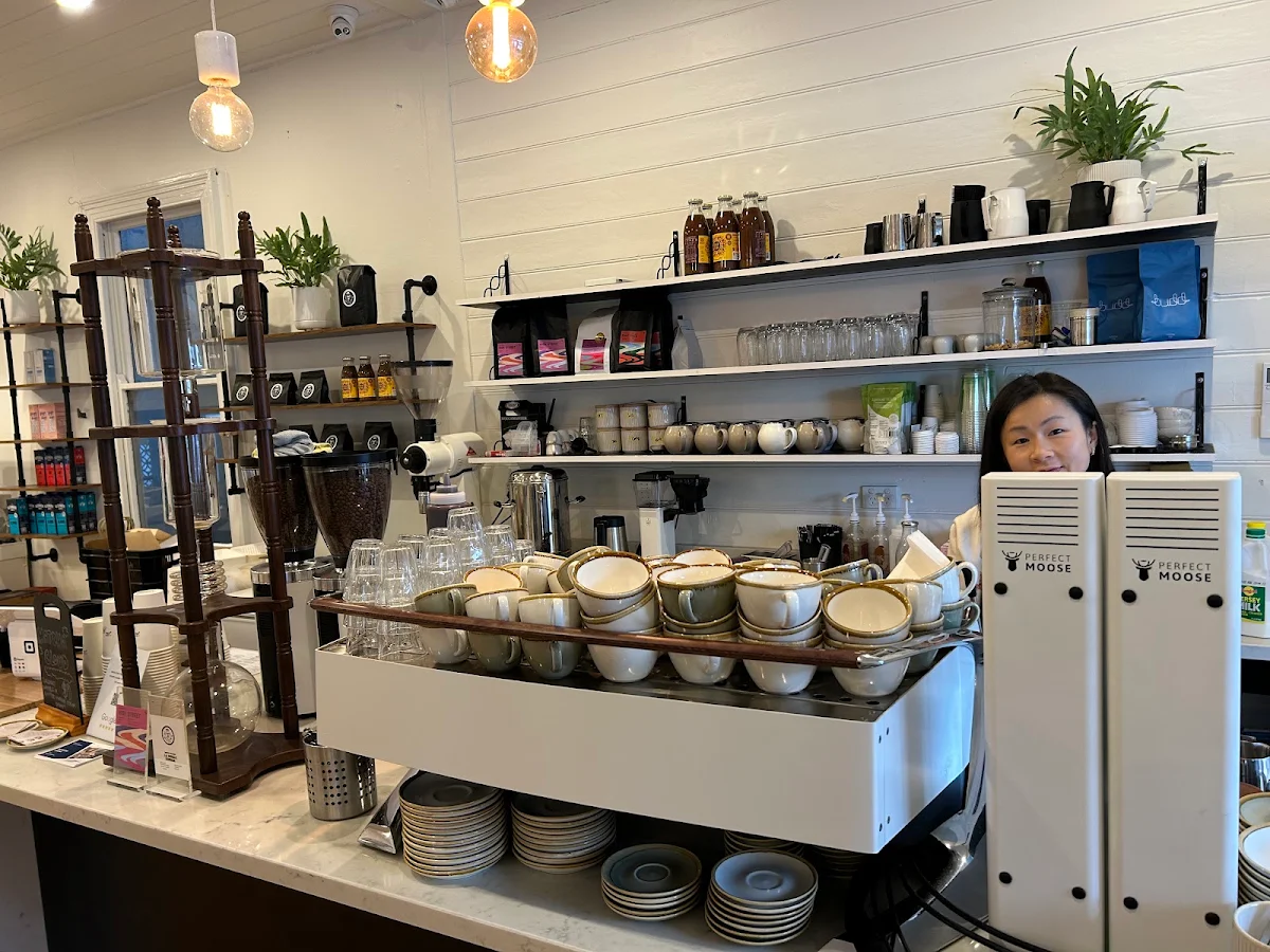 Vibe, The Birch Geelong