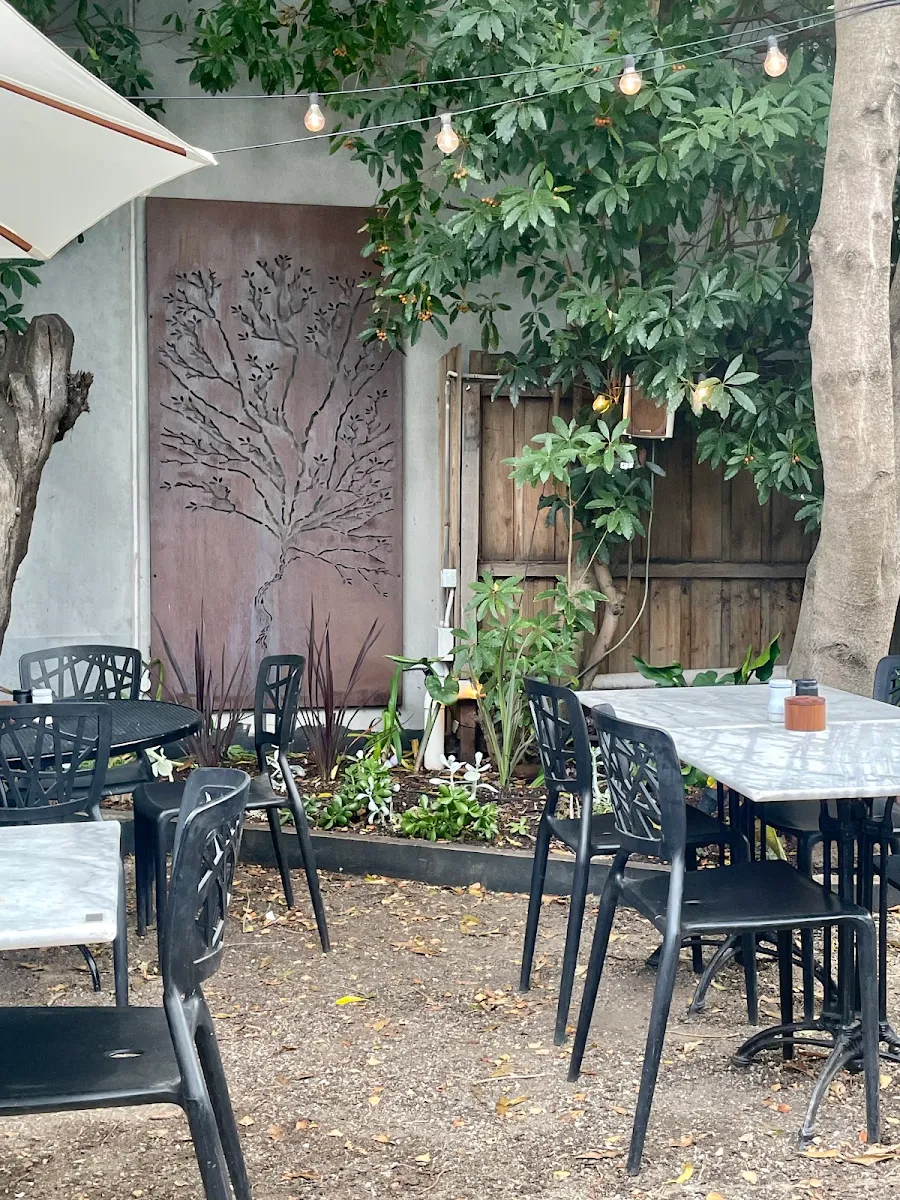 Vibe, The Birch Geelong