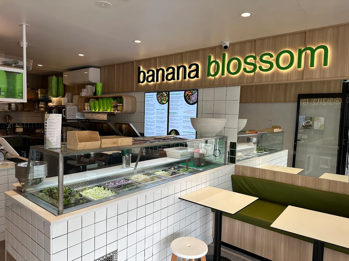 Vibe, Banana Blossom Terrigal