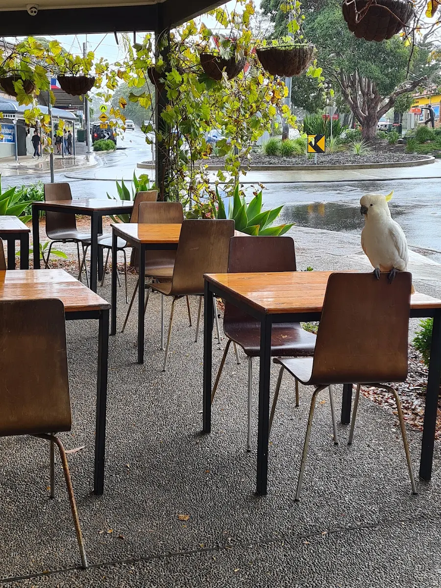 CHEF'S SIGNATURE Cafe & Indian Restaurant cover