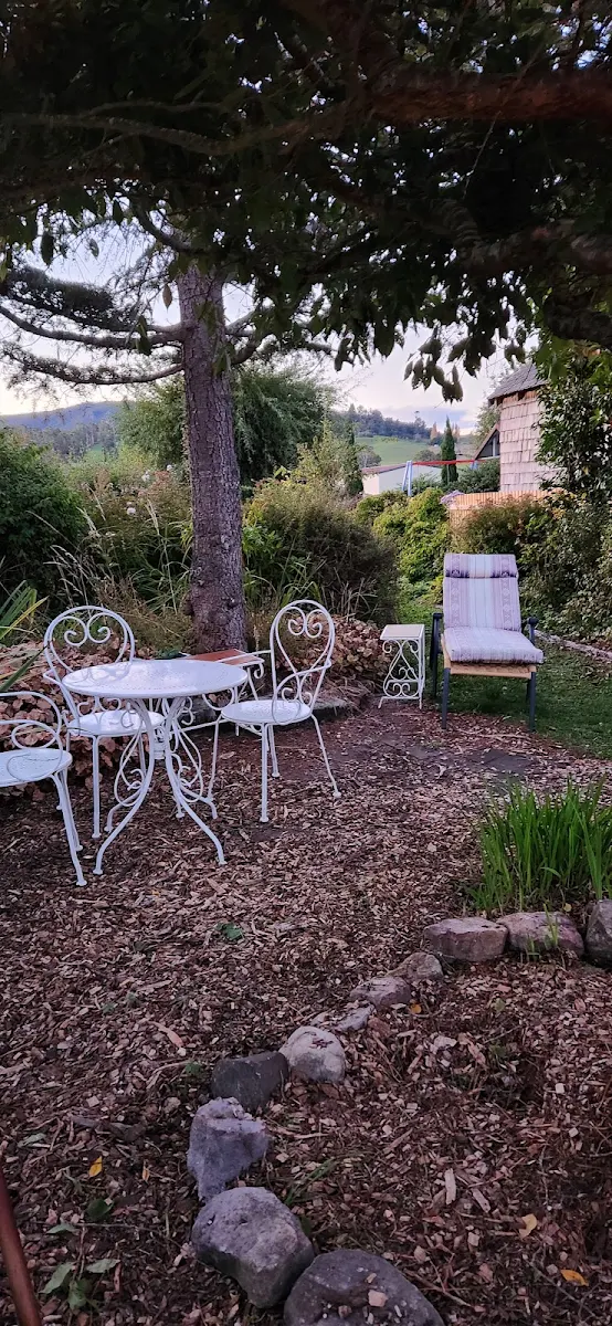 Vibe, The Hearth of Chudleigh (Emporium, Cafe & Event Space)