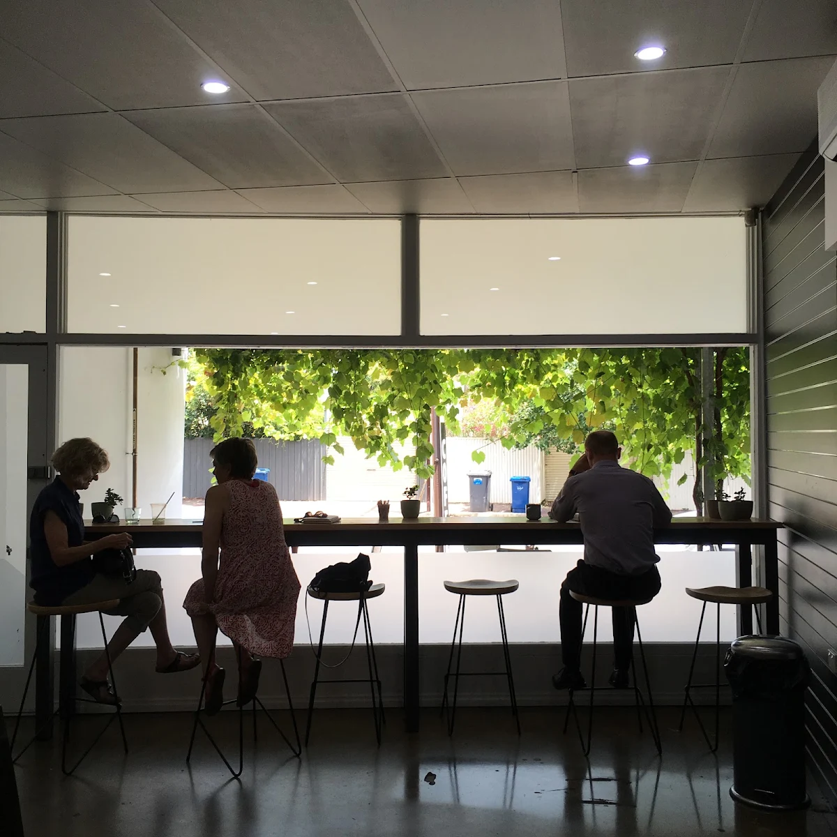 Vibe, HARK! Coffee Roasters
