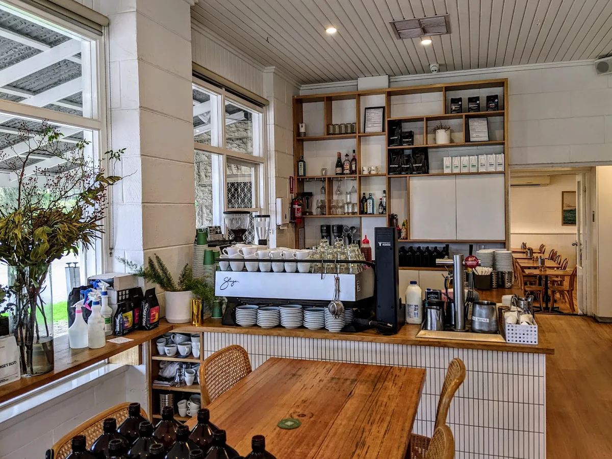 Vibe, Buckley Sorrento