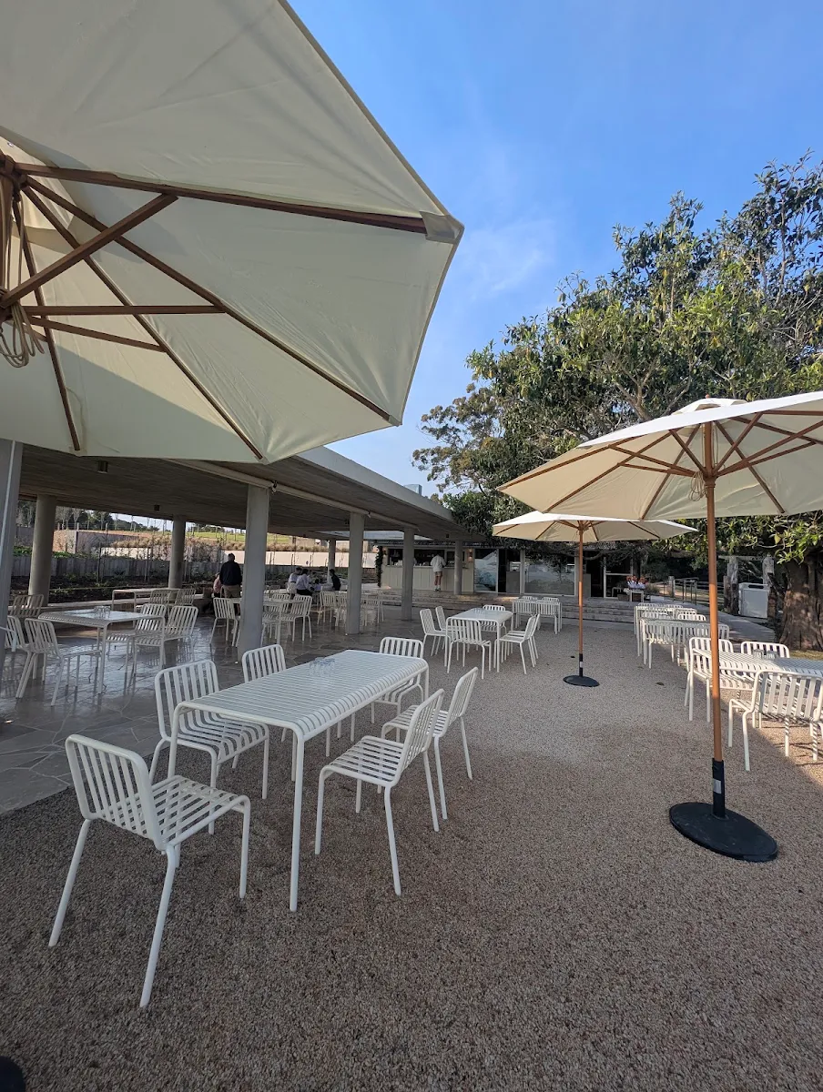 Vibe, The Dairy Bakehouse