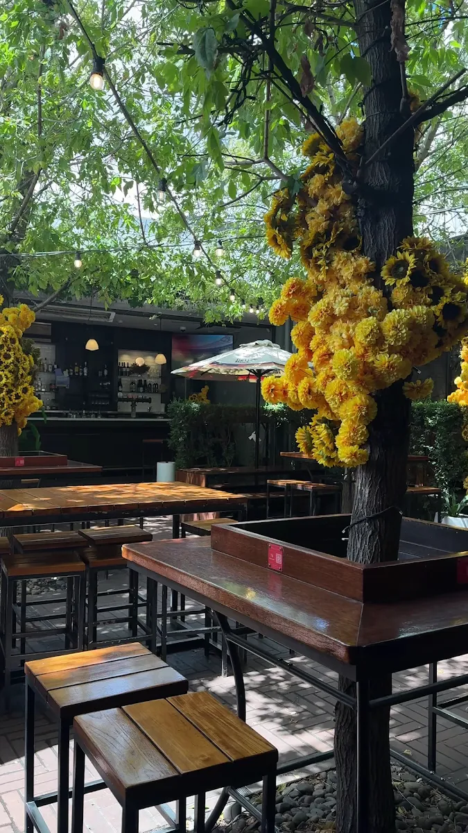 Vibe, Prince Alfred Richmond