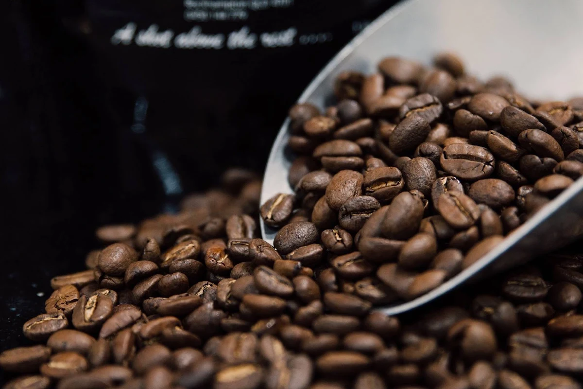 Food & drink, Gus' Coffee Stockland