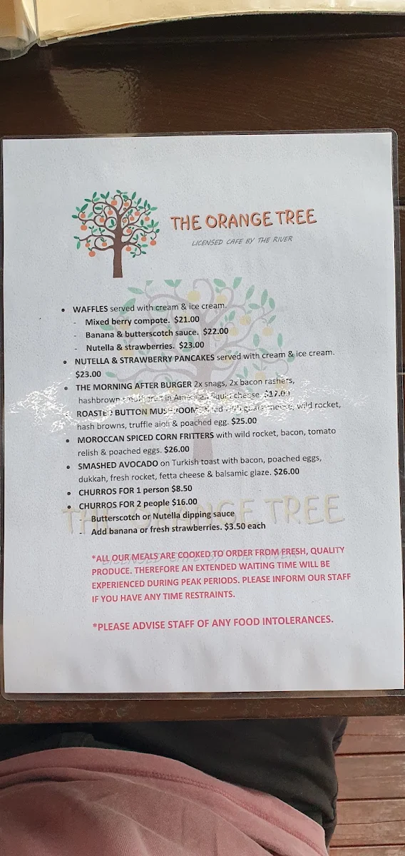 Menu, The OrangeTree - Licensed Cafe By The River