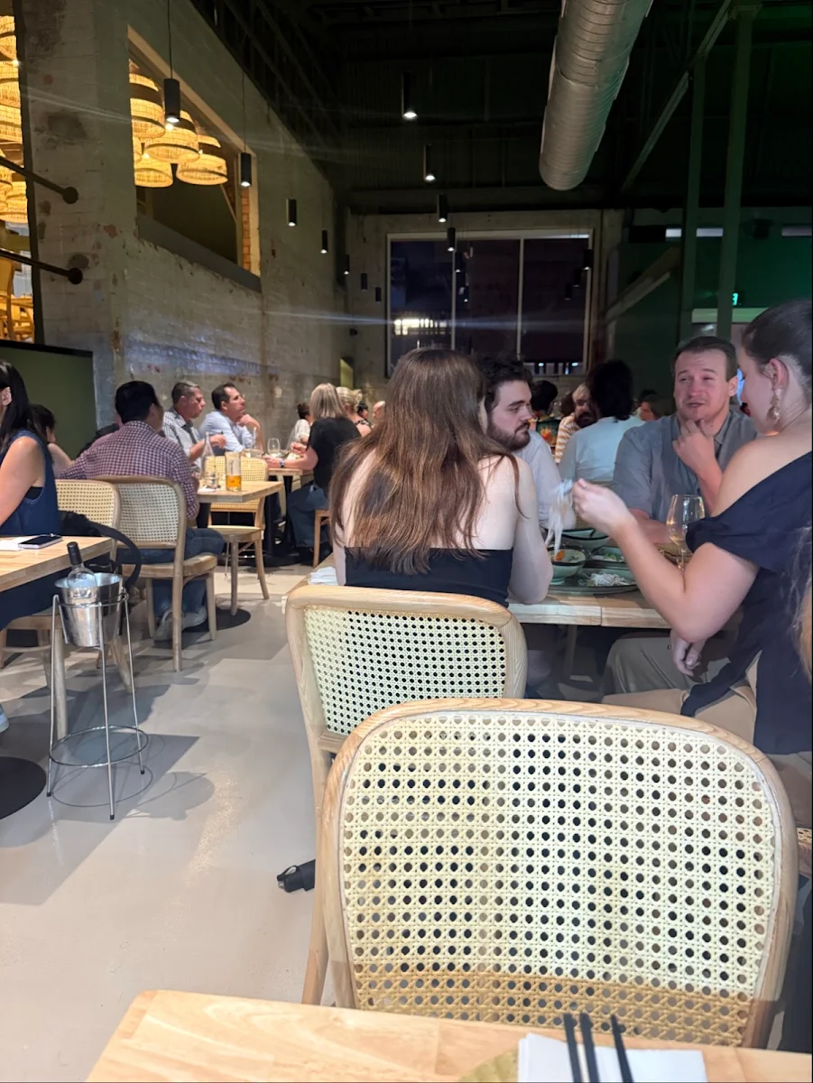 Vibe, Rừng Brisbane