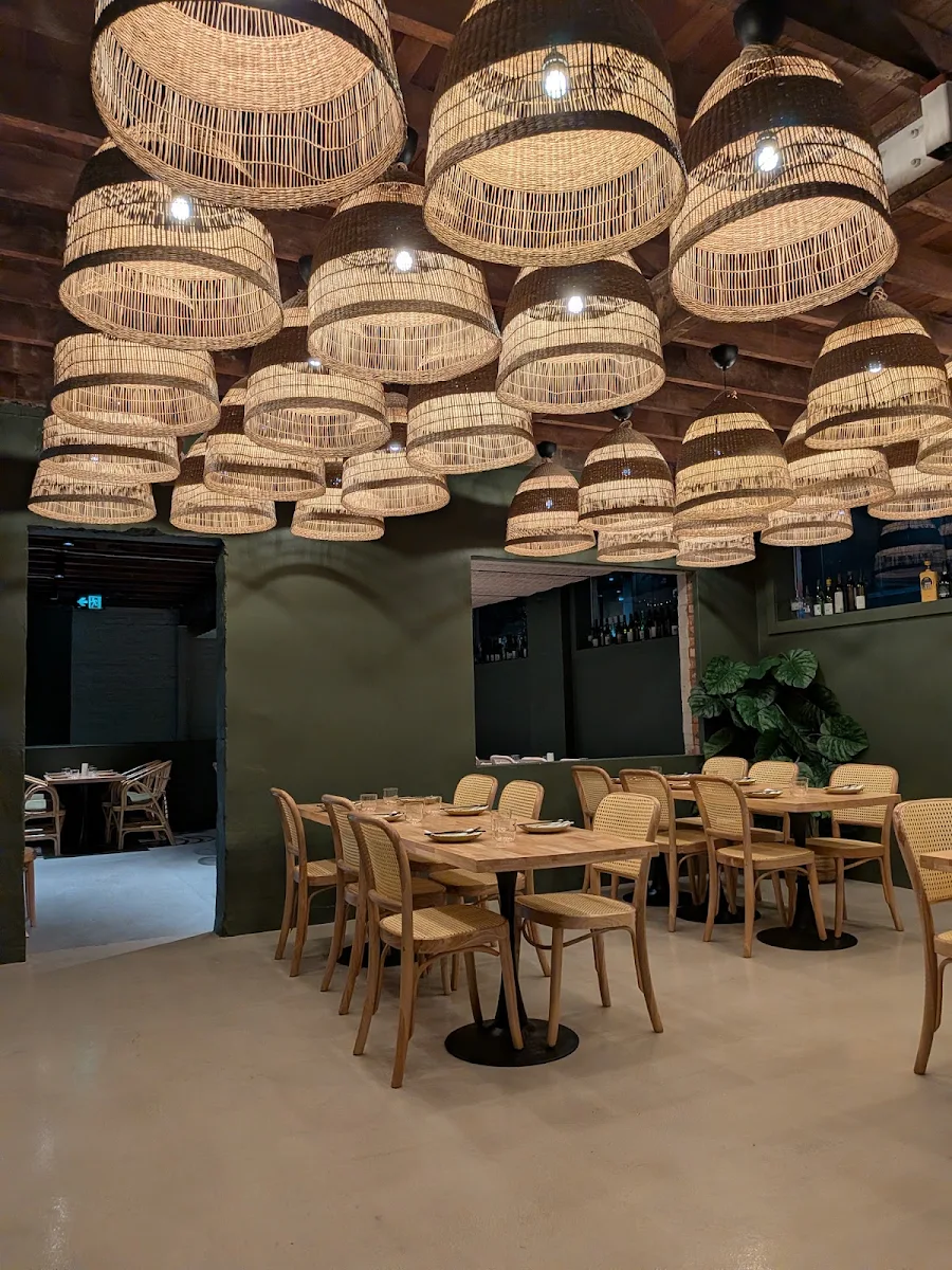 Vibe, Rừng Brisbane
