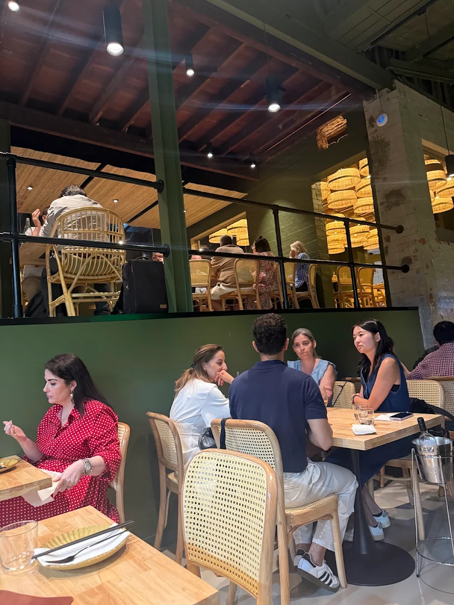 Vibe, Rừng Brisbane