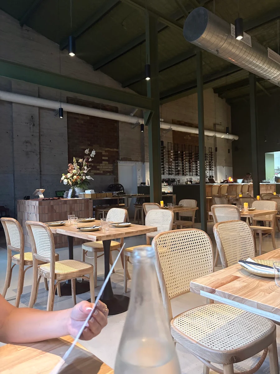 Vibe, Rừng Brisbane