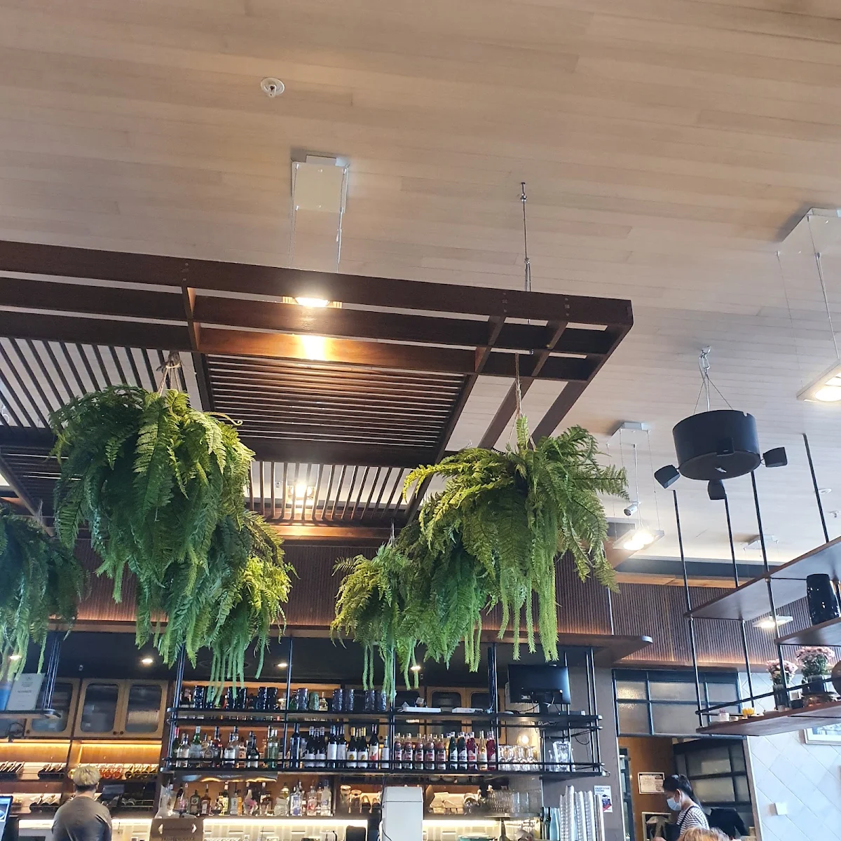 Vibe, Kinn Thai Greenhills