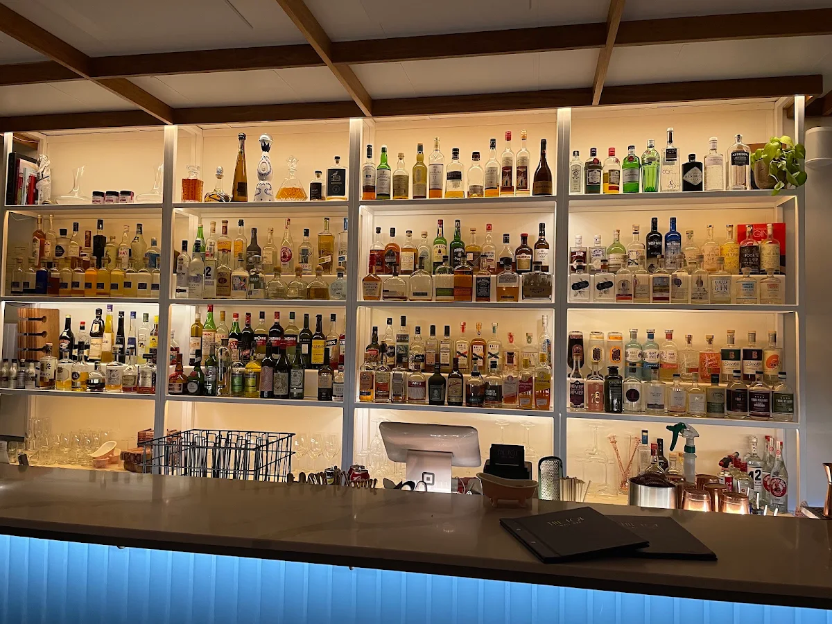 Vibe, The Fox Small Bar