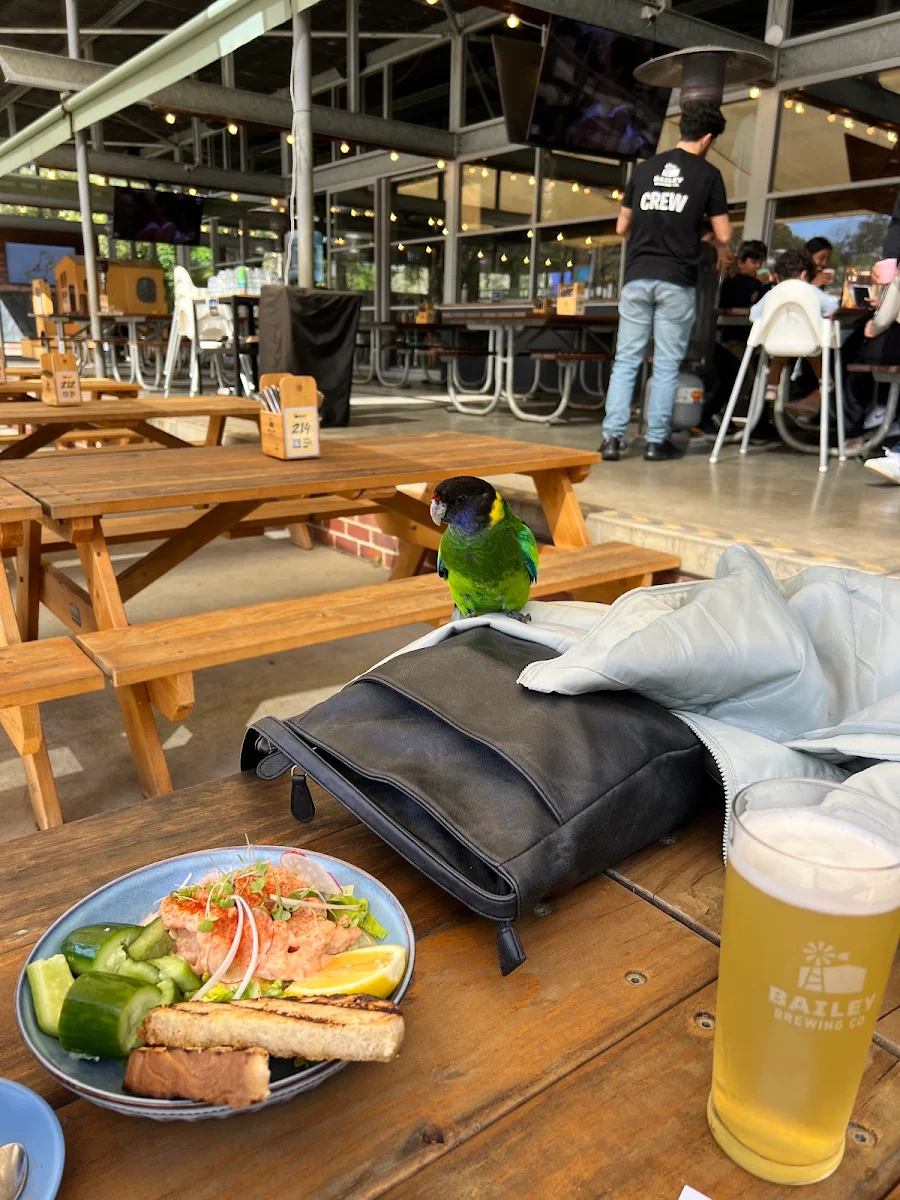 Food & drink, Bailey Brewing Co. Dunsborough
