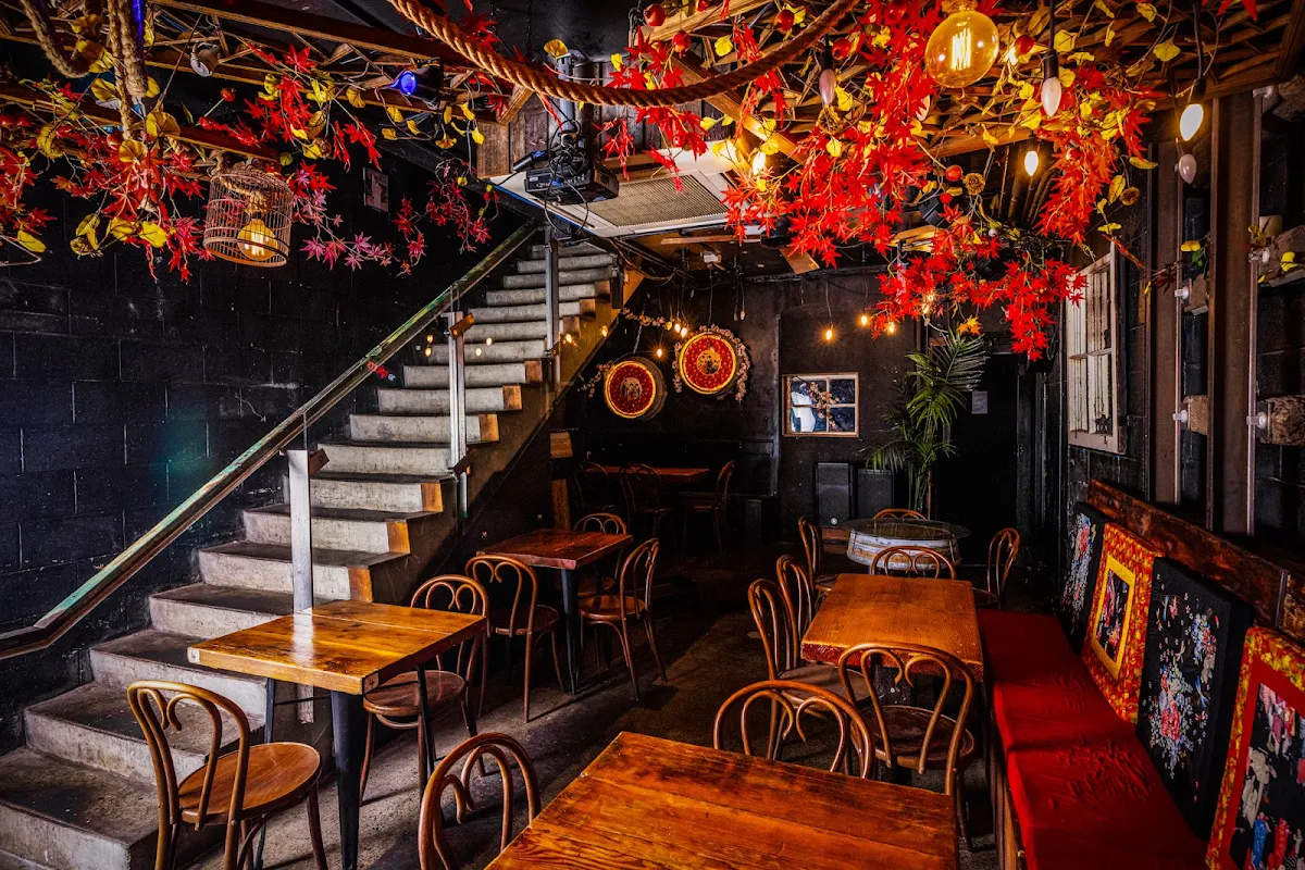 Vibe, Bar Hanami
