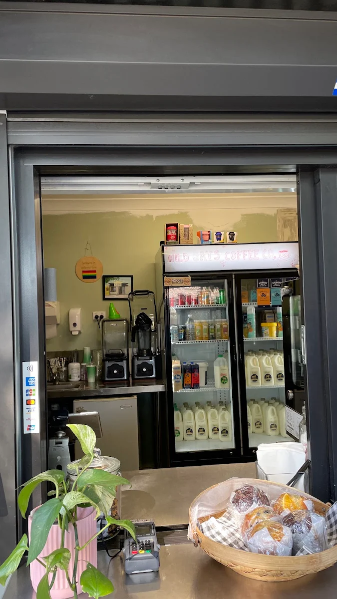 Vibe, Wild Oats Coffee Co