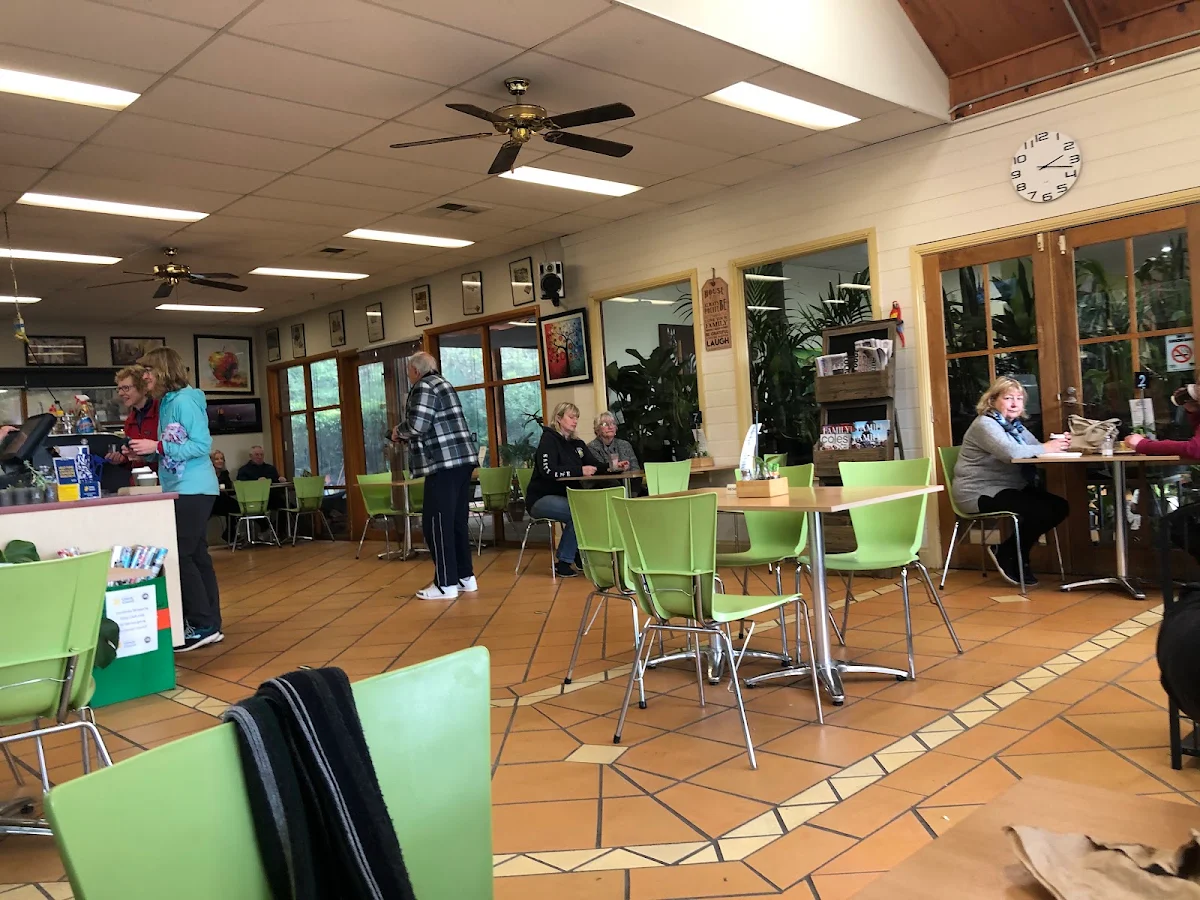 Vibe, Cafe Coffea