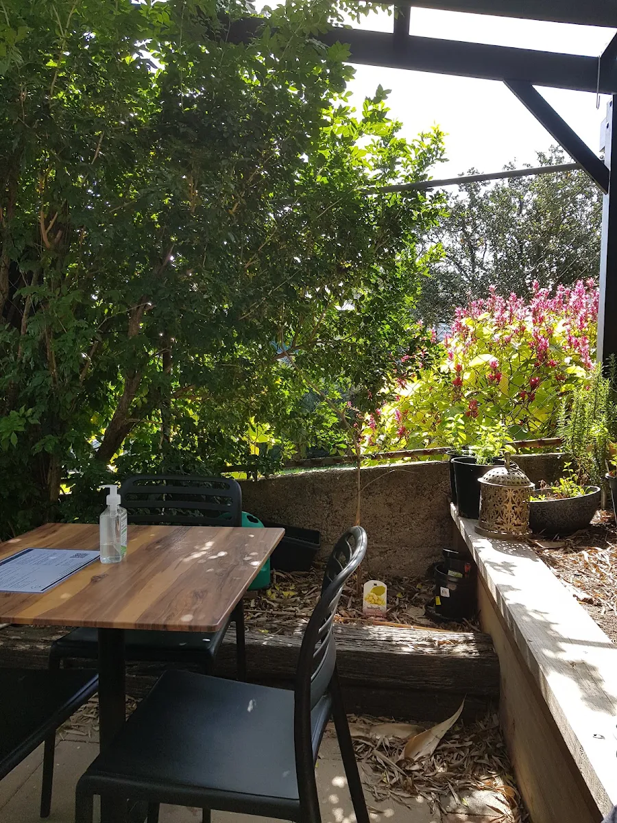 Vibe, Dovetail Social
