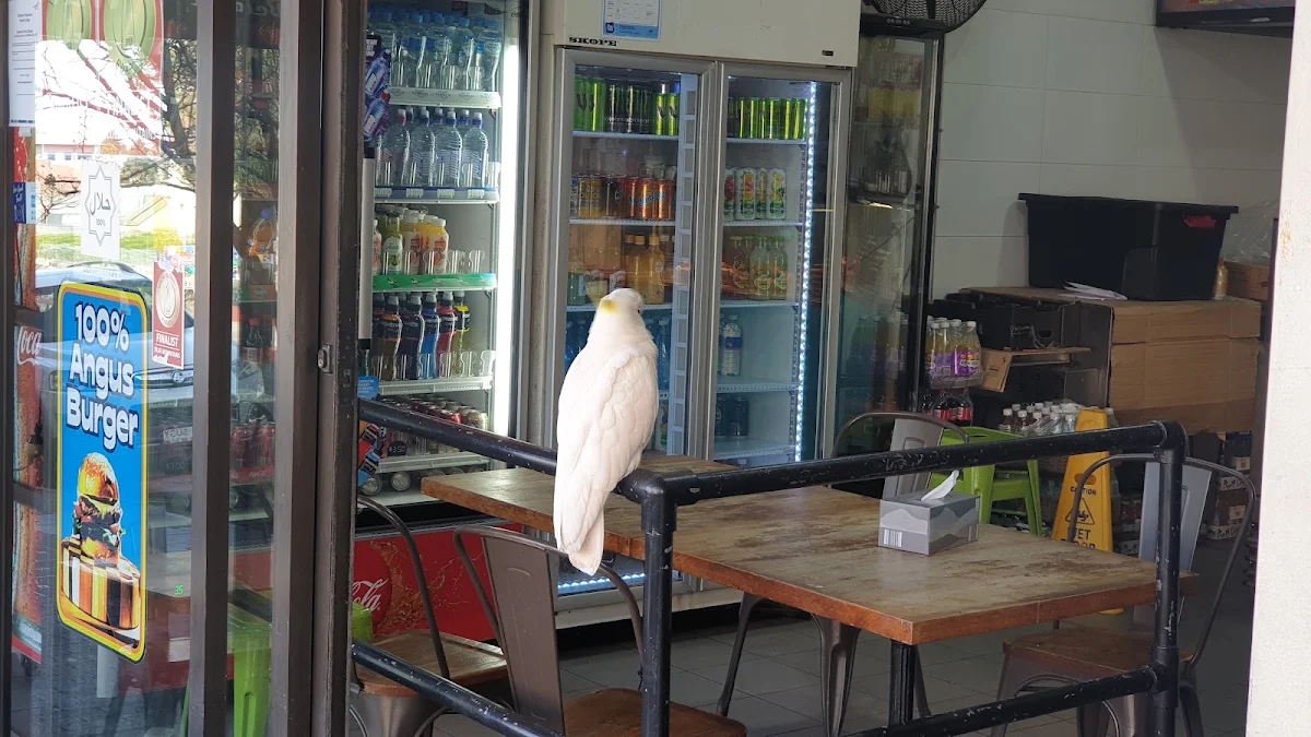 Vibe, Poulets Chicken Express | Fine Dining Restaurant Katoomba