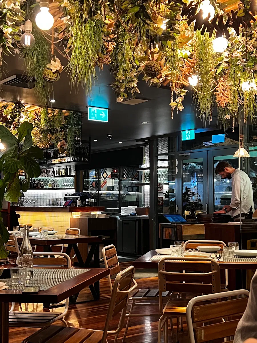 Vibe, Sugarcane Coogee
