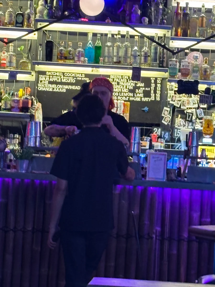 Vibe, Neon Palms