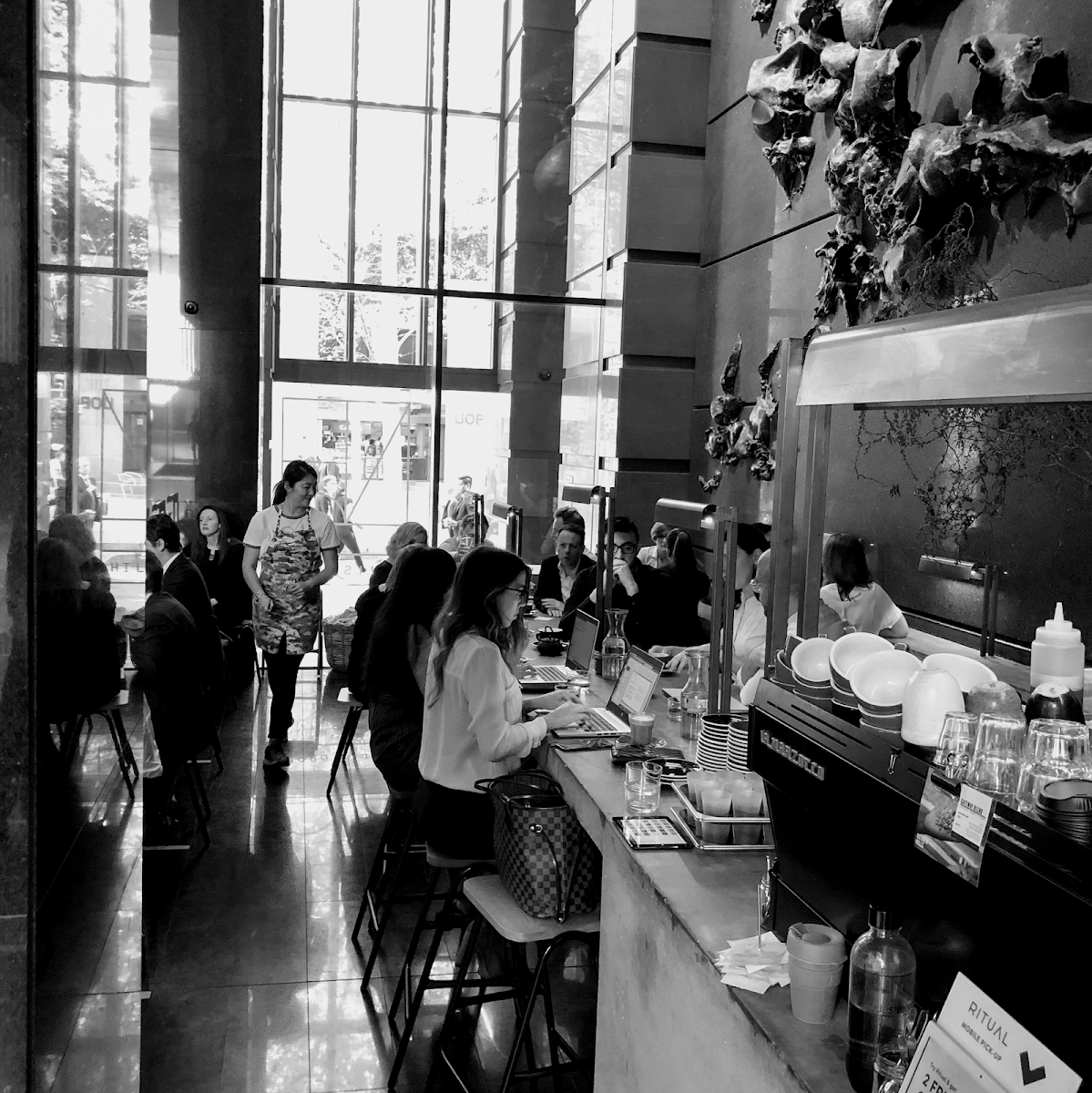 Vibe, Hills Bros Cafe