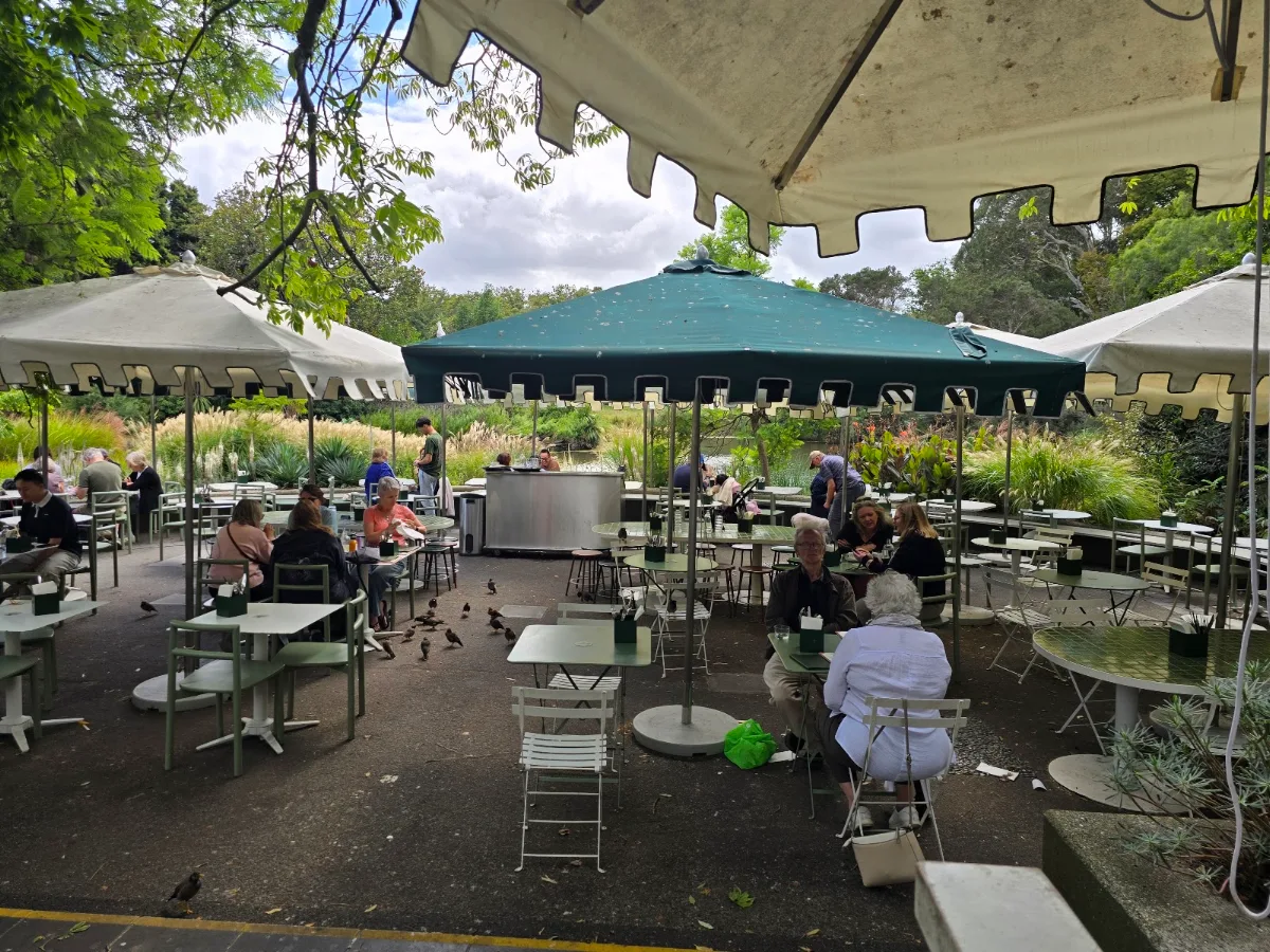 Vibe, Terrace Cafe