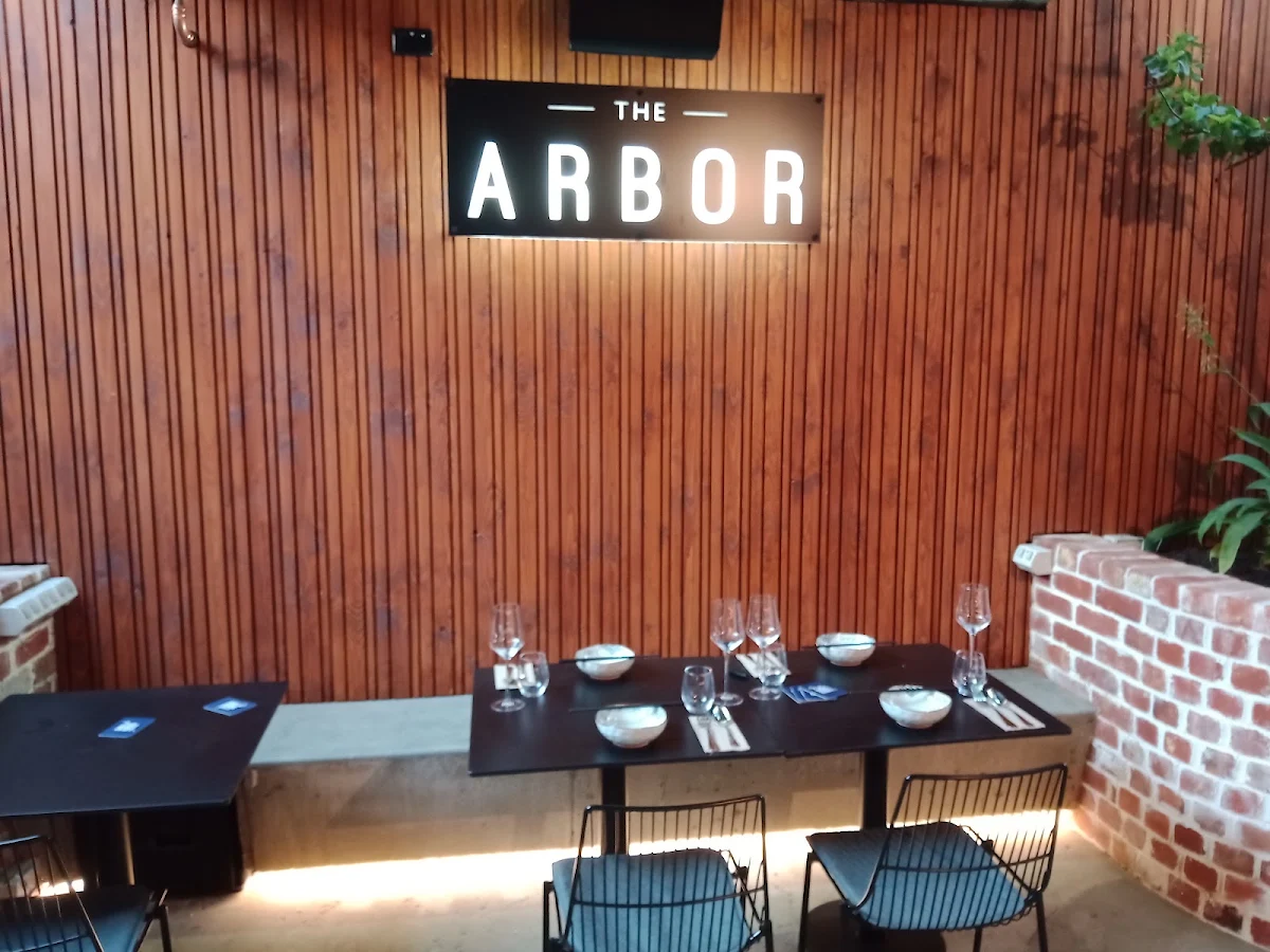 Vibe, The Old Synagogue