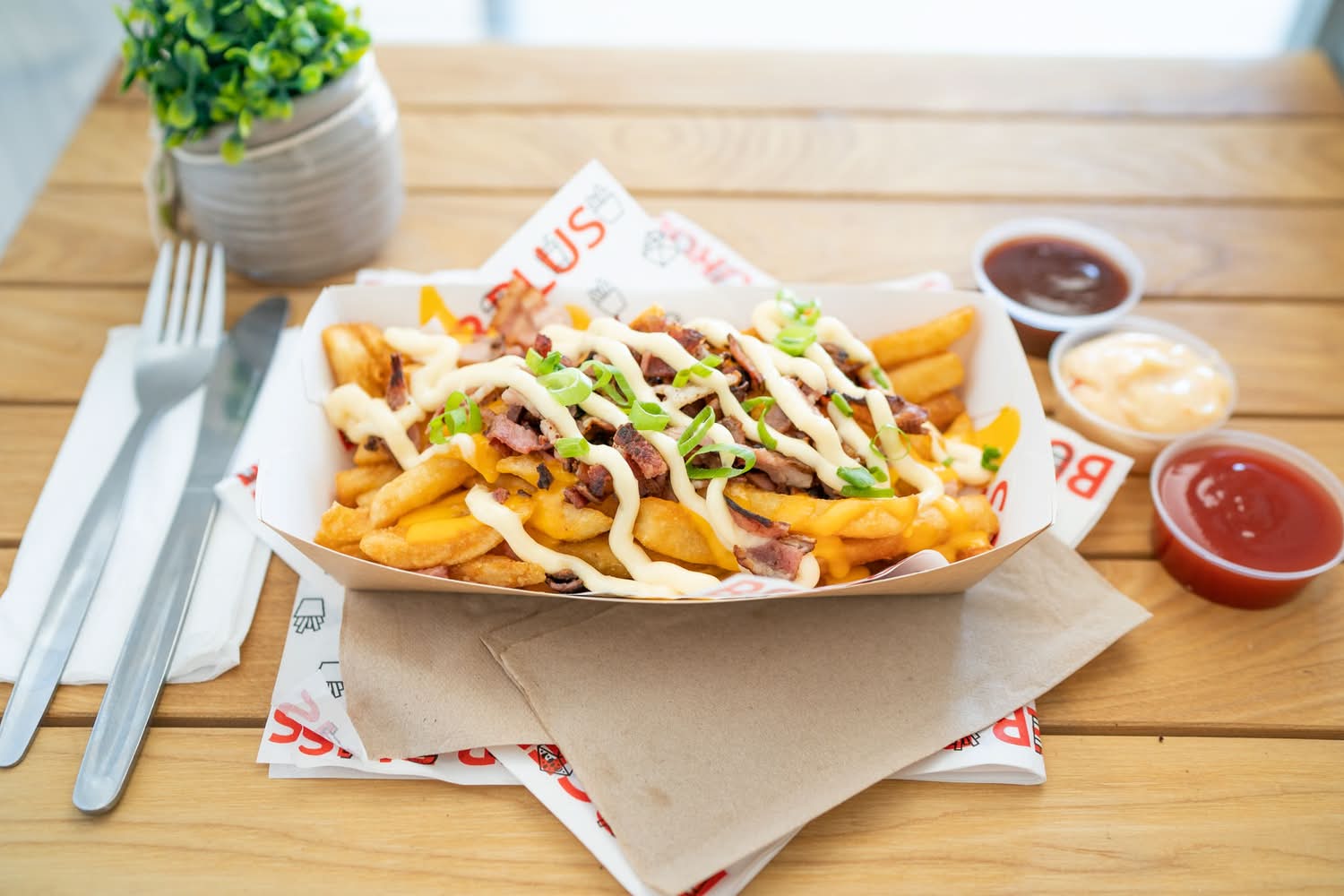 Bacon Cheese Fries