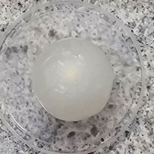 Pickled Onion