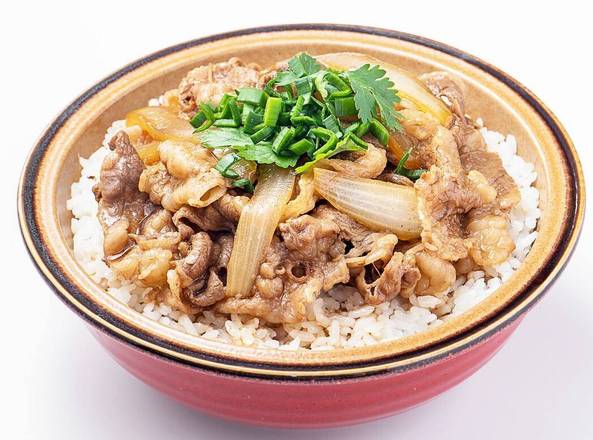 Sliced beef with rice