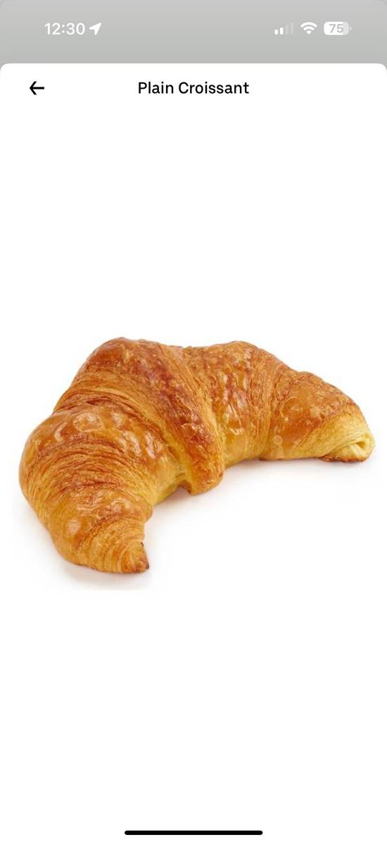 Plain Croissant