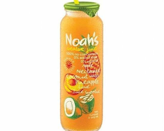 Apple, nectarine, coconut water, pineapple & lime Juice