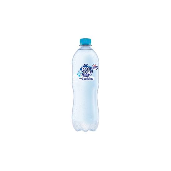 Sparkling Water 500ml