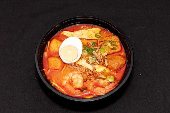 Curry Laksa Noodles Soup