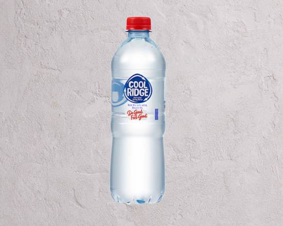 Cool Ridge Water 600mL