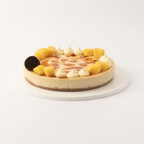 Passionfruit Mango Baked Cheesecake