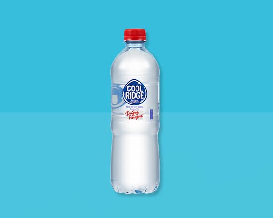 Cool Ridge Water 600mL