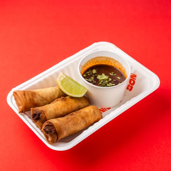 Birria Spring Roll (3)