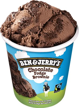 458ml Choc Fudge Brownie