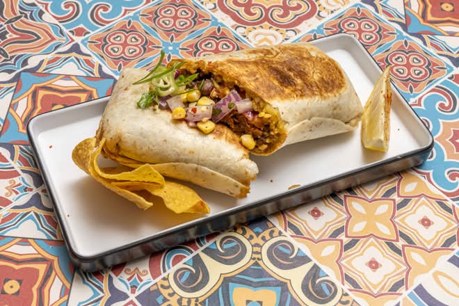 Birria Burrito