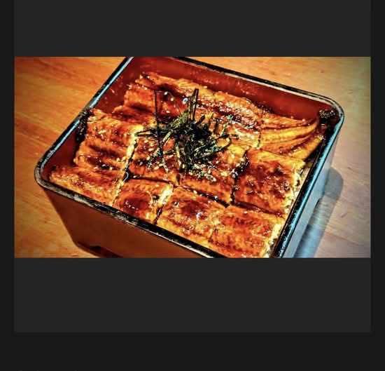 Unagi Eel Don