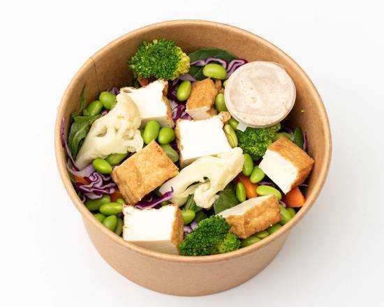 Fried Tofu with Veggie Salad