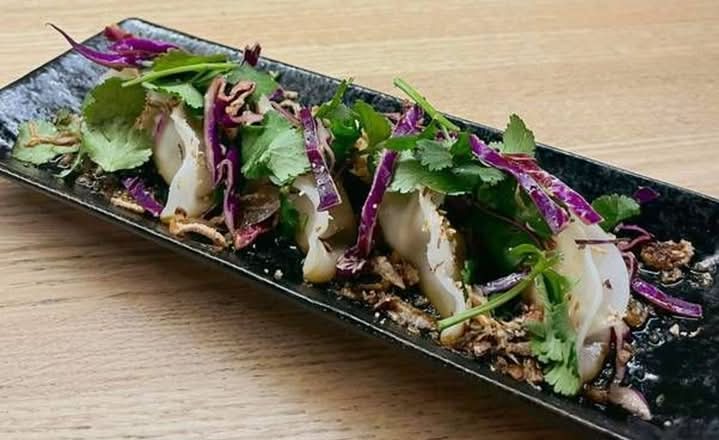 Vegan Gyoza