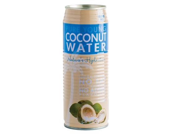 Coconut Water 500ml
